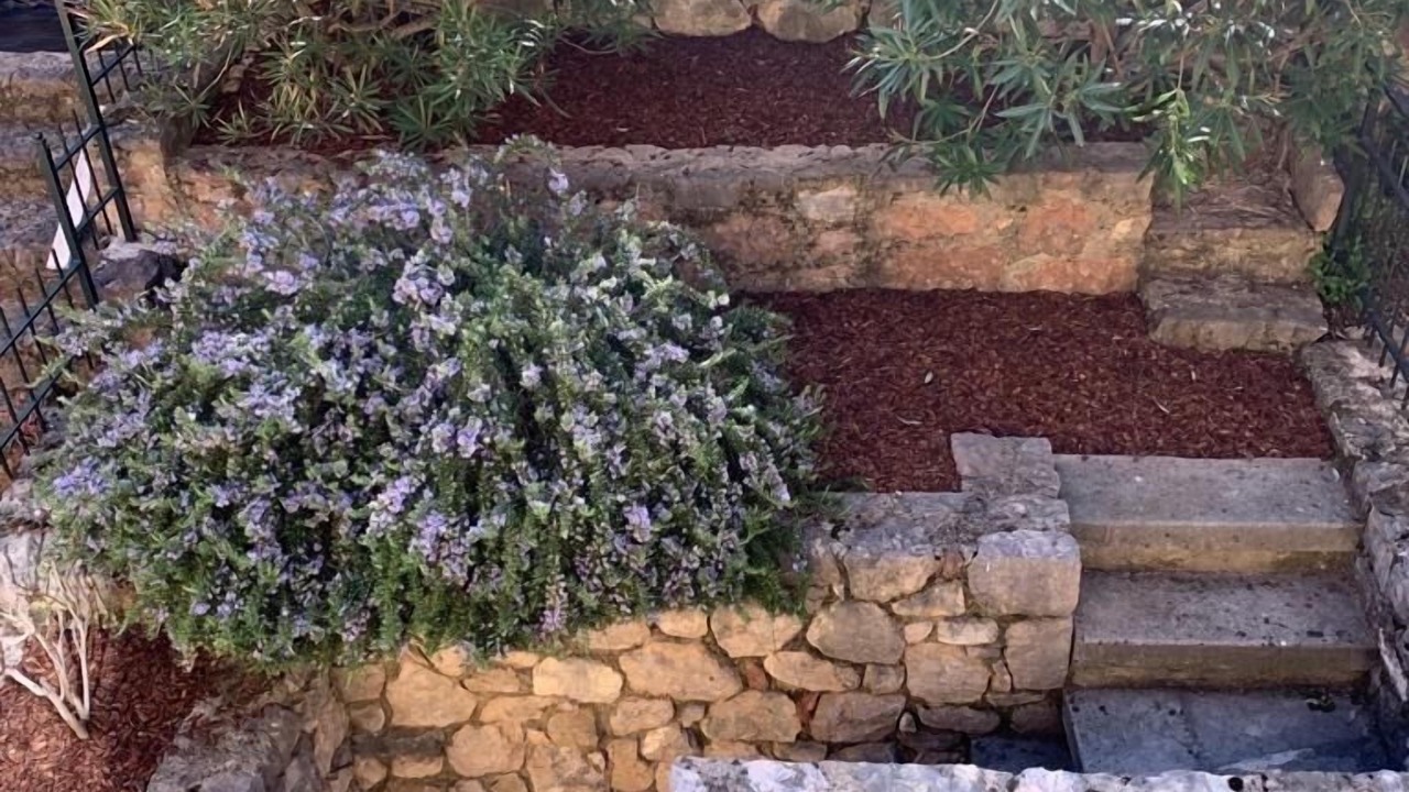 Photo of Outdoor in Assenza