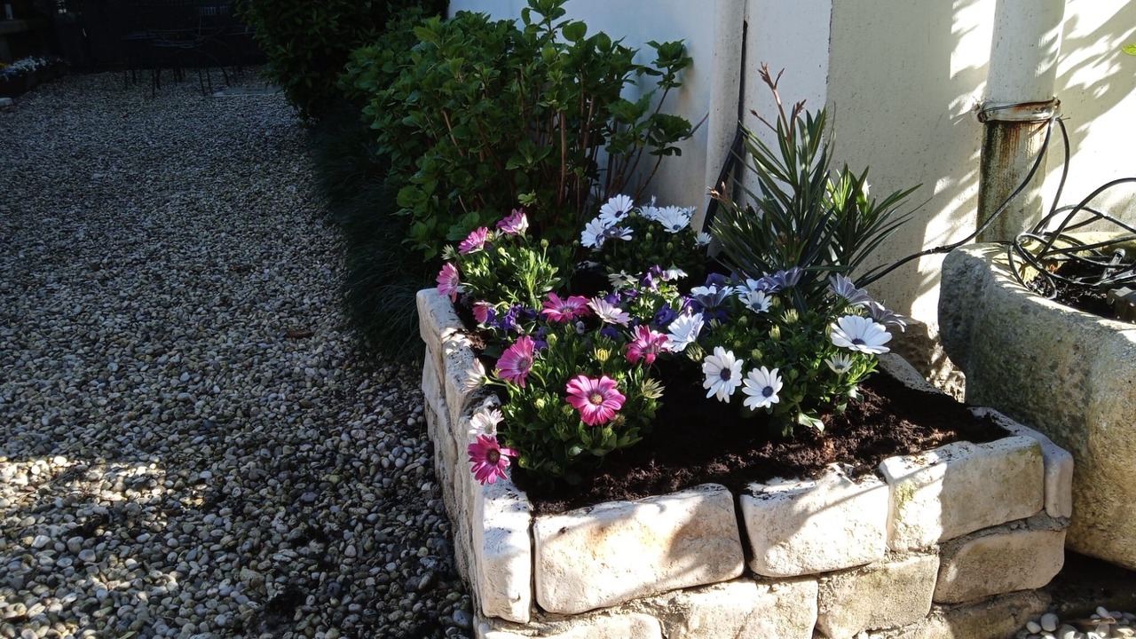 Photo of Outdoor in Santa Maria in Stelle