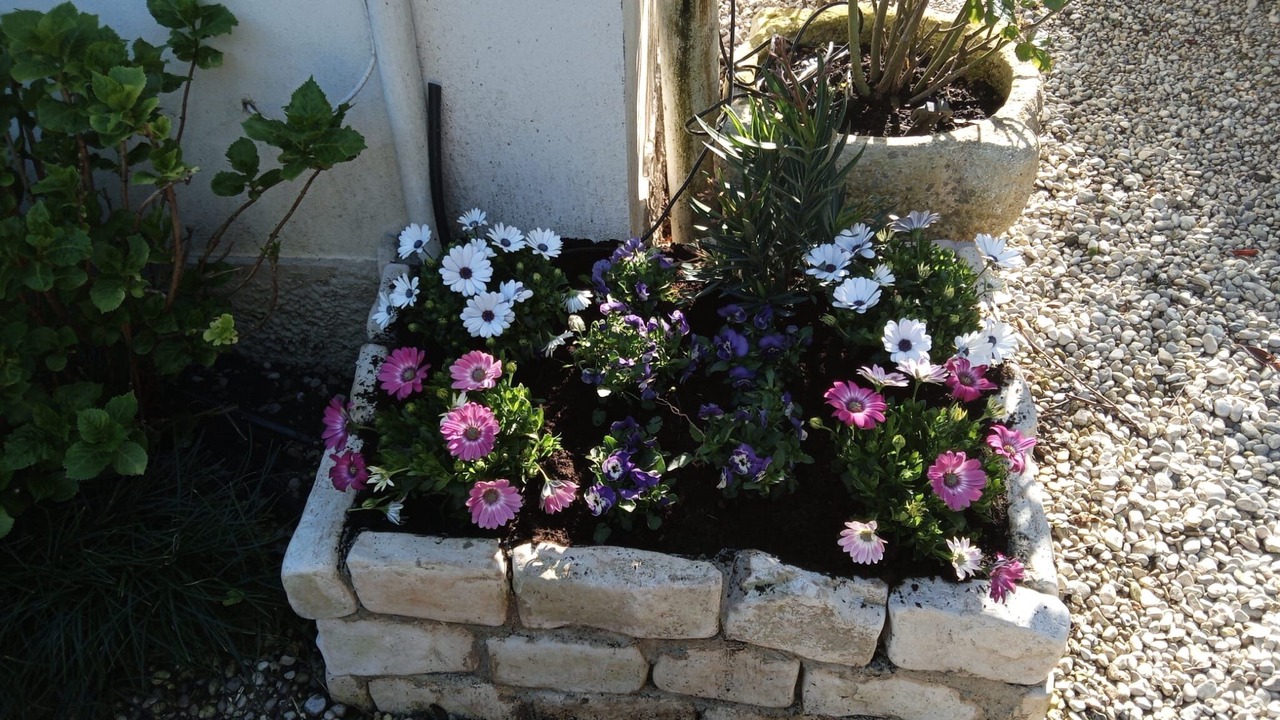 Photo of Outdoor in Santa Maria in Stelle