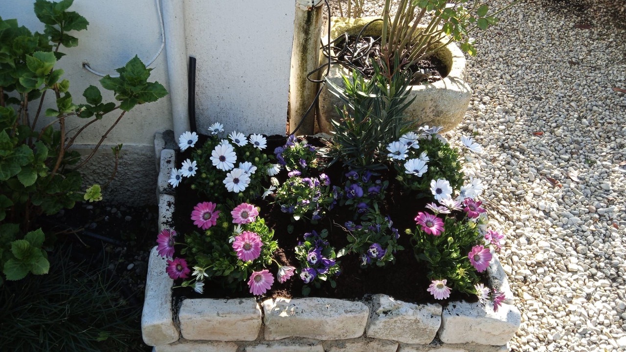 Photo of Outdoor in Santa Maria in Stelle