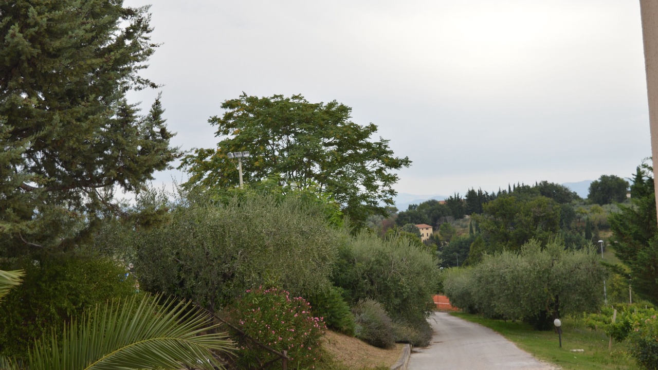 Photo of Outdoor in Montefalco