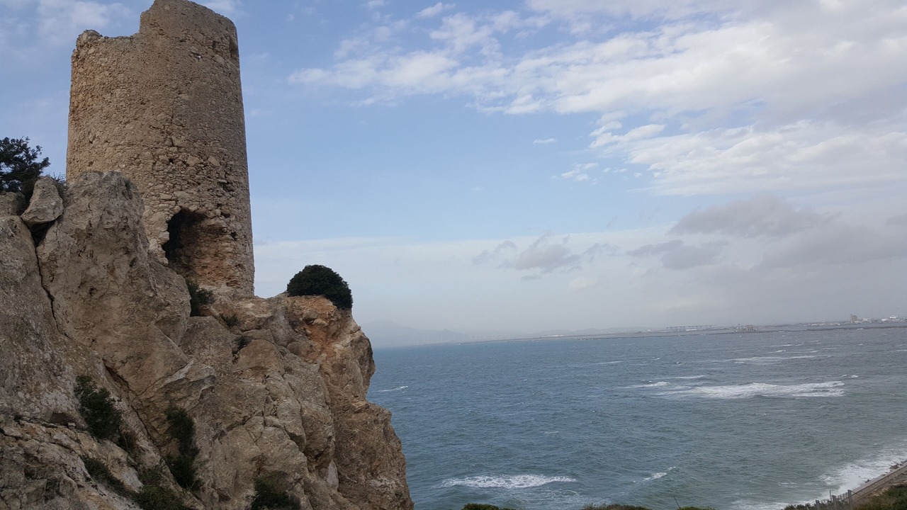 Photo of Others in Cagliari
