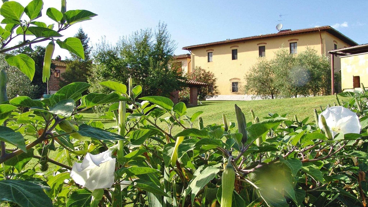Photo of Outdoor in Vinci