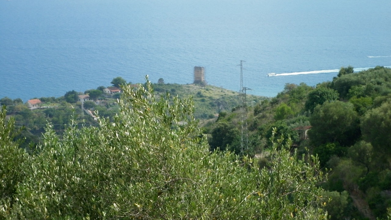 Photo of Others in Lentiscosa