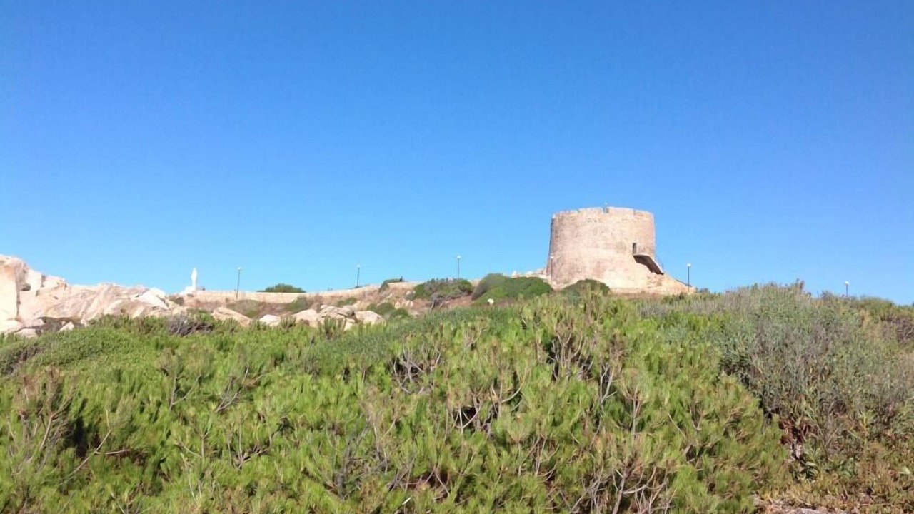 Photo of Others in Santa Teresa di Gallura