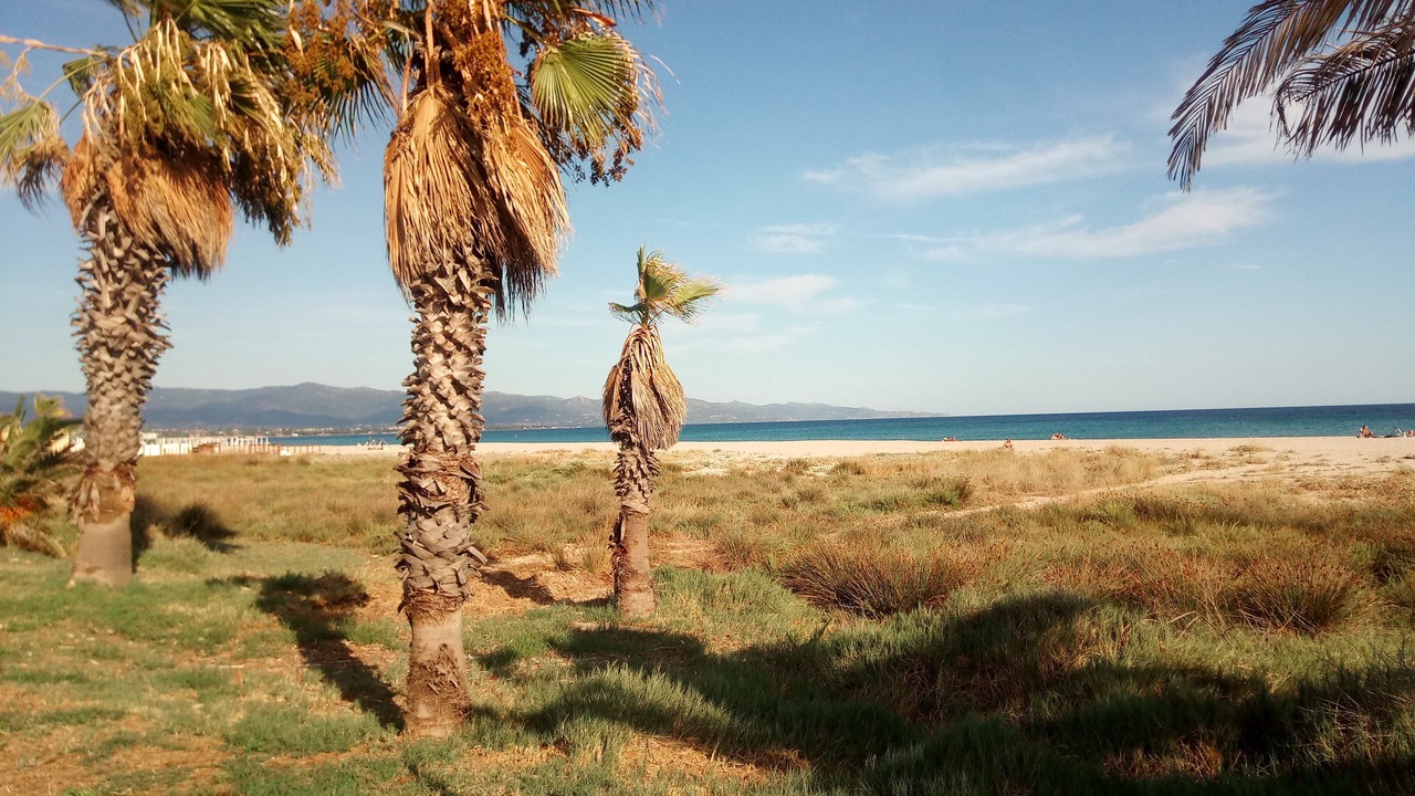 Photo of Others in Province of Cagliari
