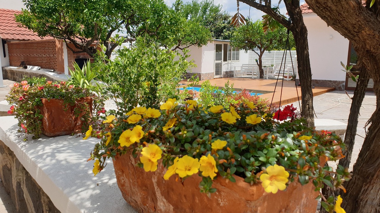 Photo of Outdoor in Pompei