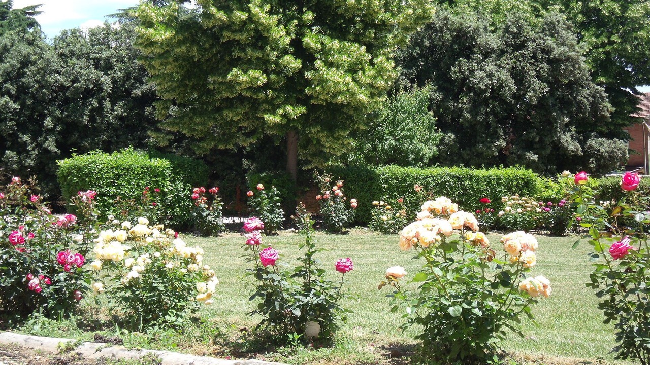 Photo of Outdoor in Torrita di Siena