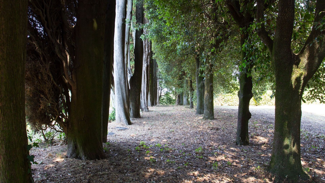 Photo of Others in Torrita di Siena