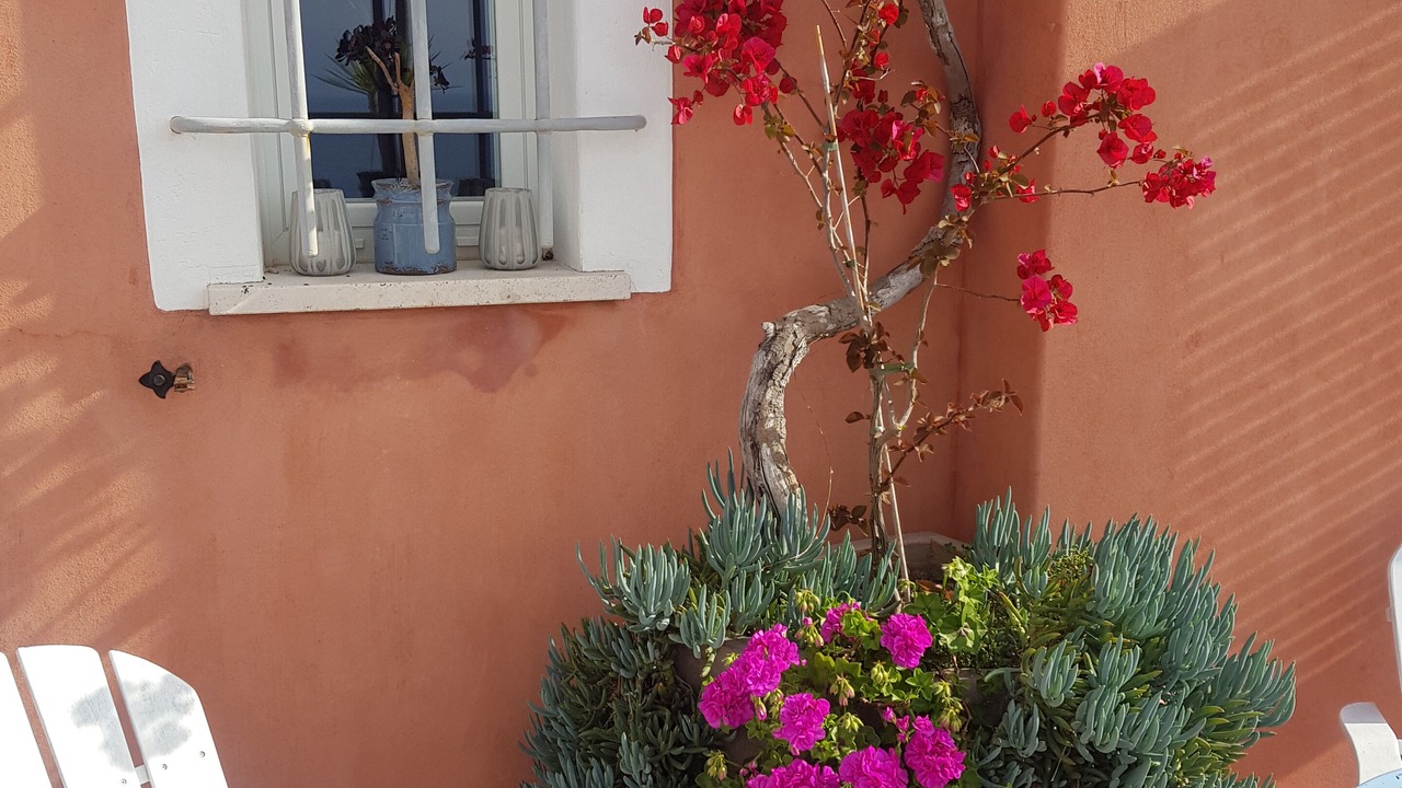 Photo of Patio Balcony in Finale Ligure