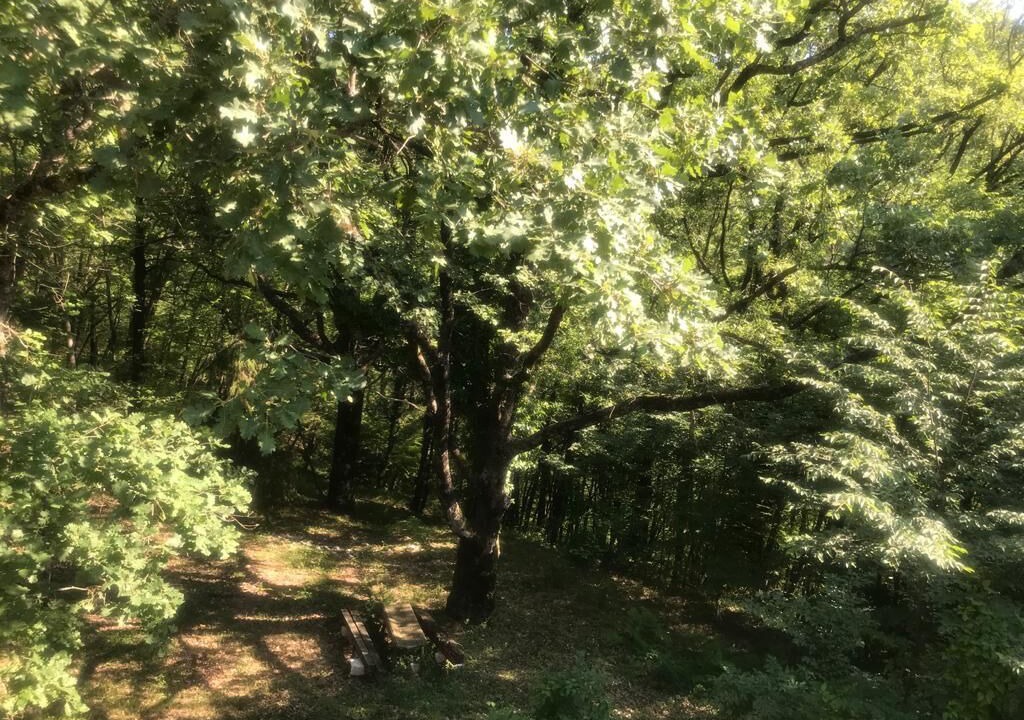Photo of Outdoor in Scandriglia