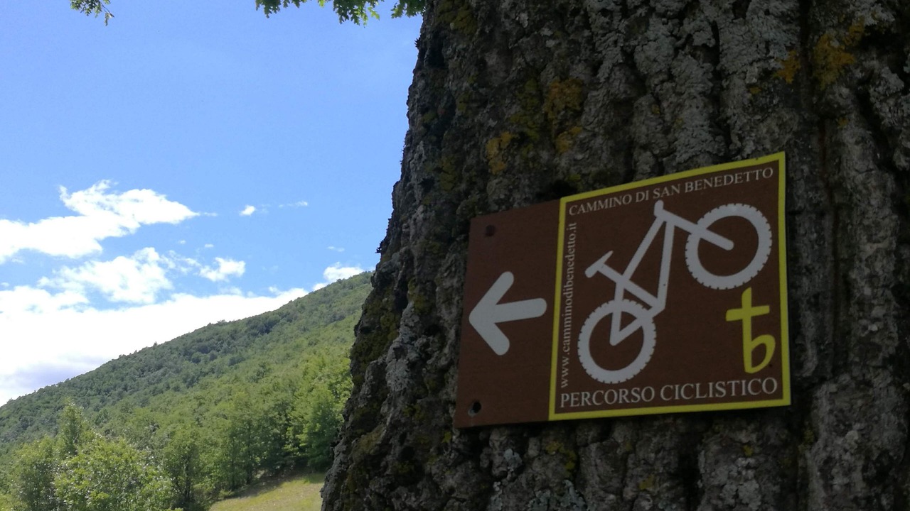 Photo of Outdoor in Arrone