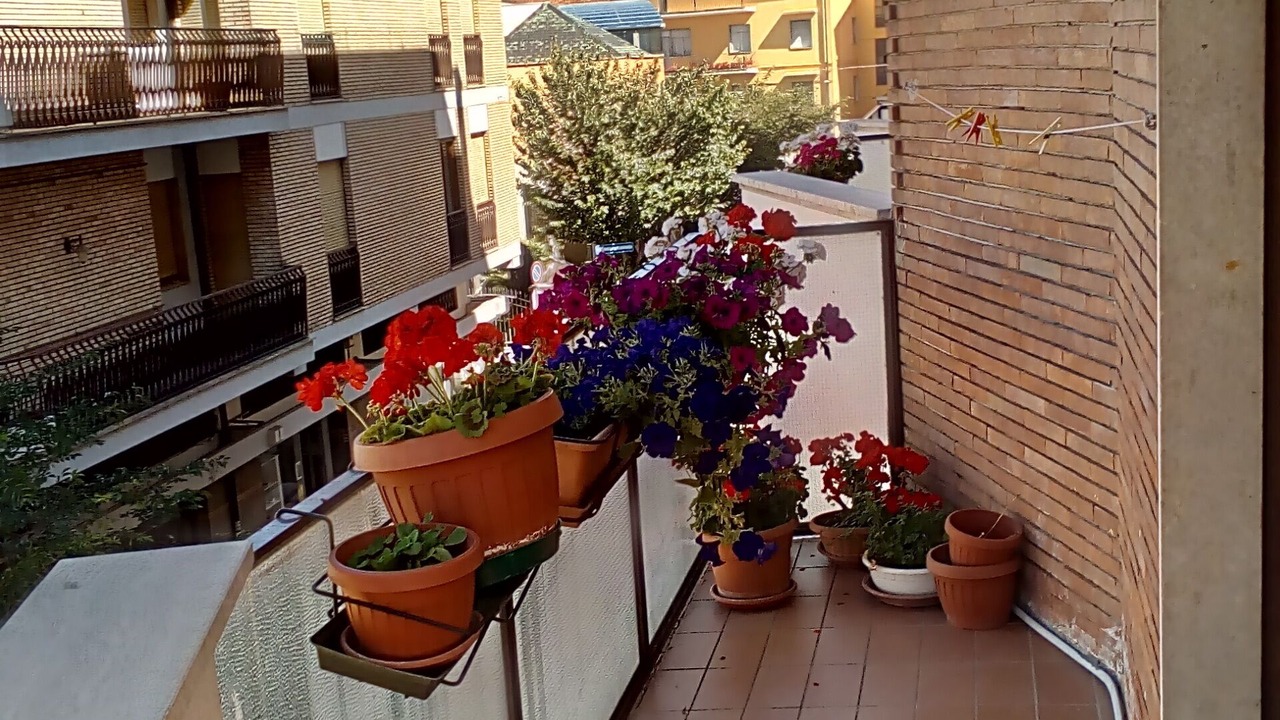 Photo of Outdoor in Avezzano
