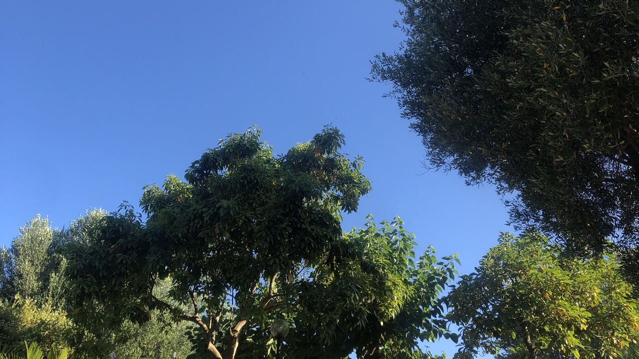 Photo of Outdoor in Lentiscosa