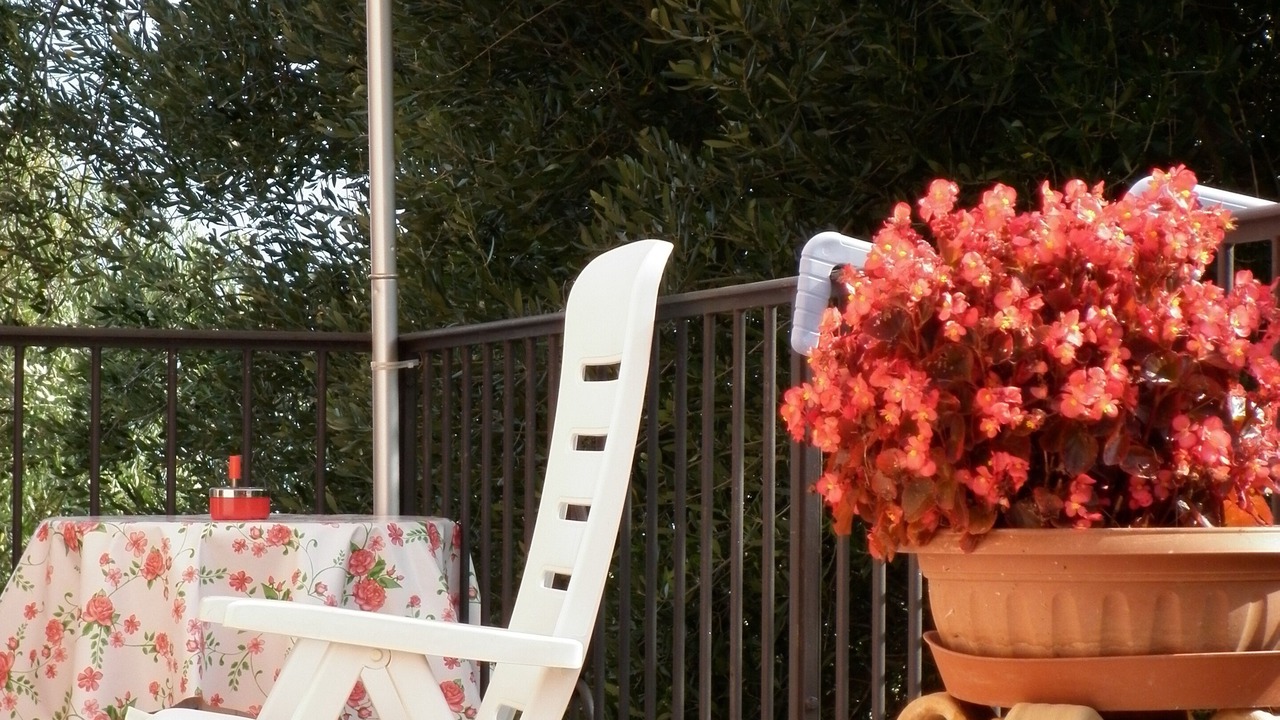 Photo of Outdoor in Lentiscosa