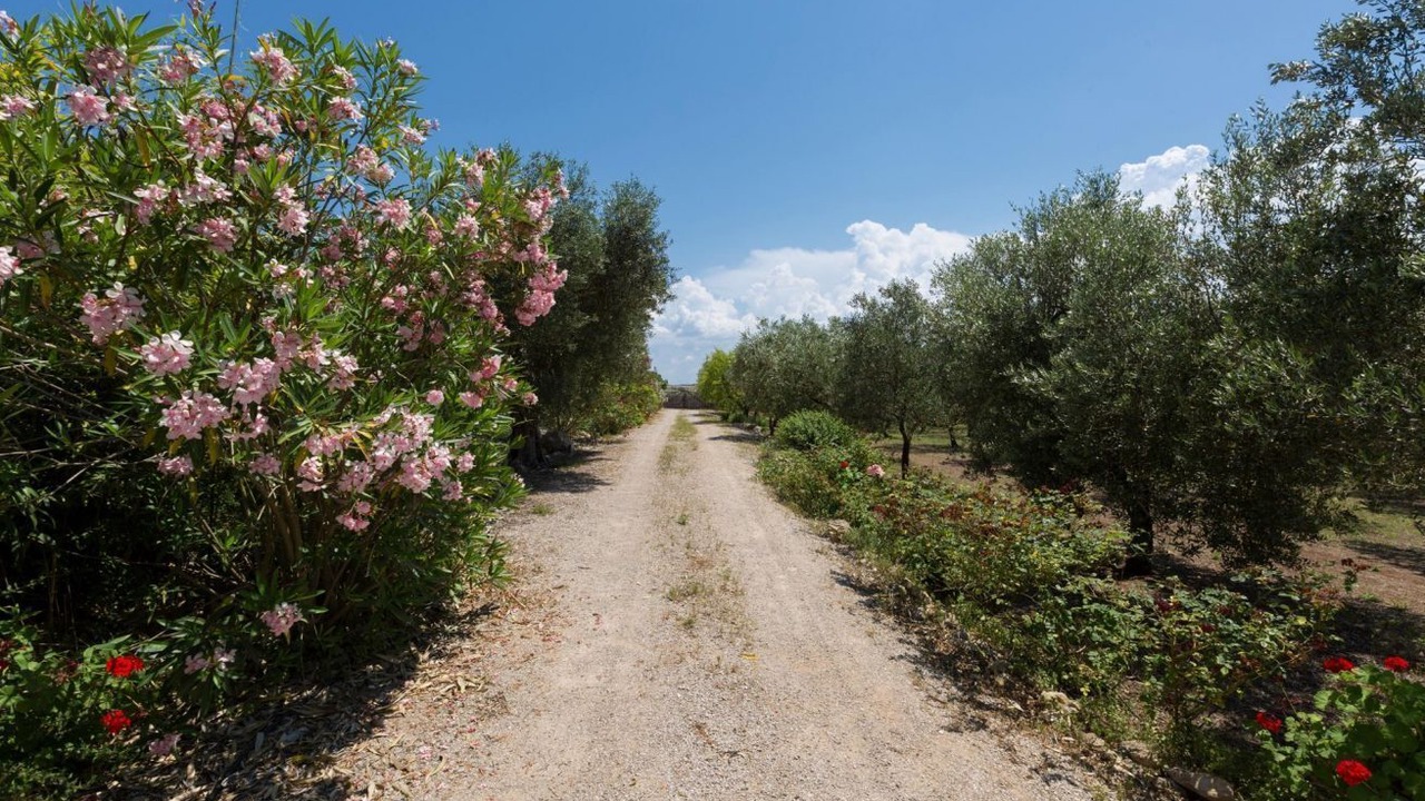 Photo of Others in Sternatia