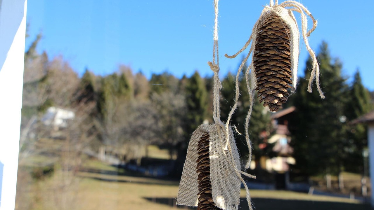 Photo of Outdoor in Malosco