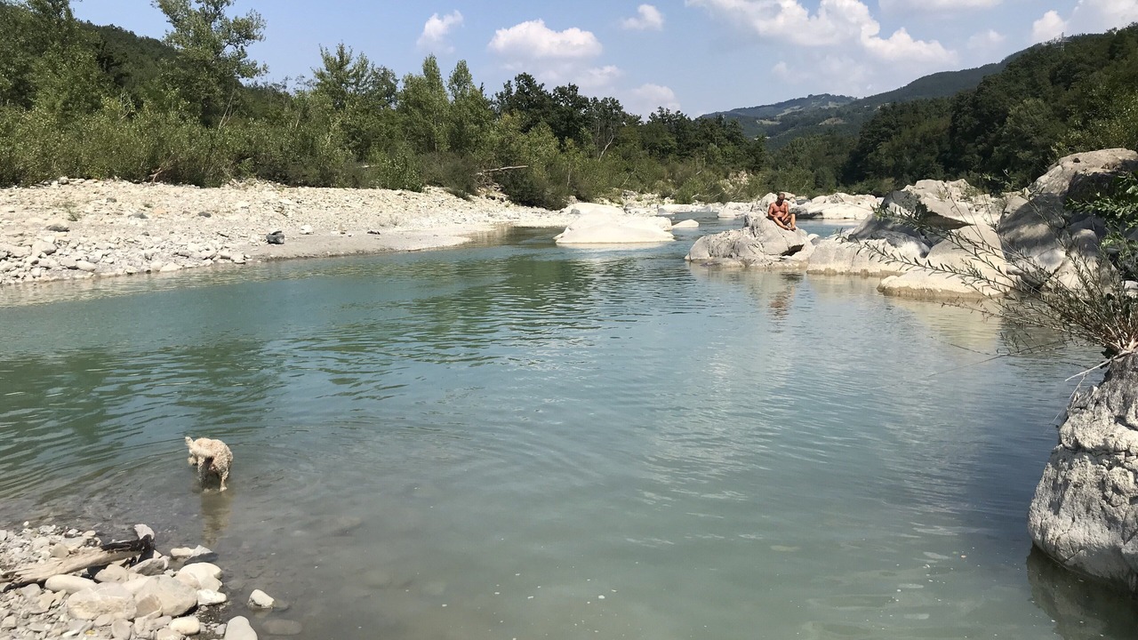 Photo of Others in Valmozzola