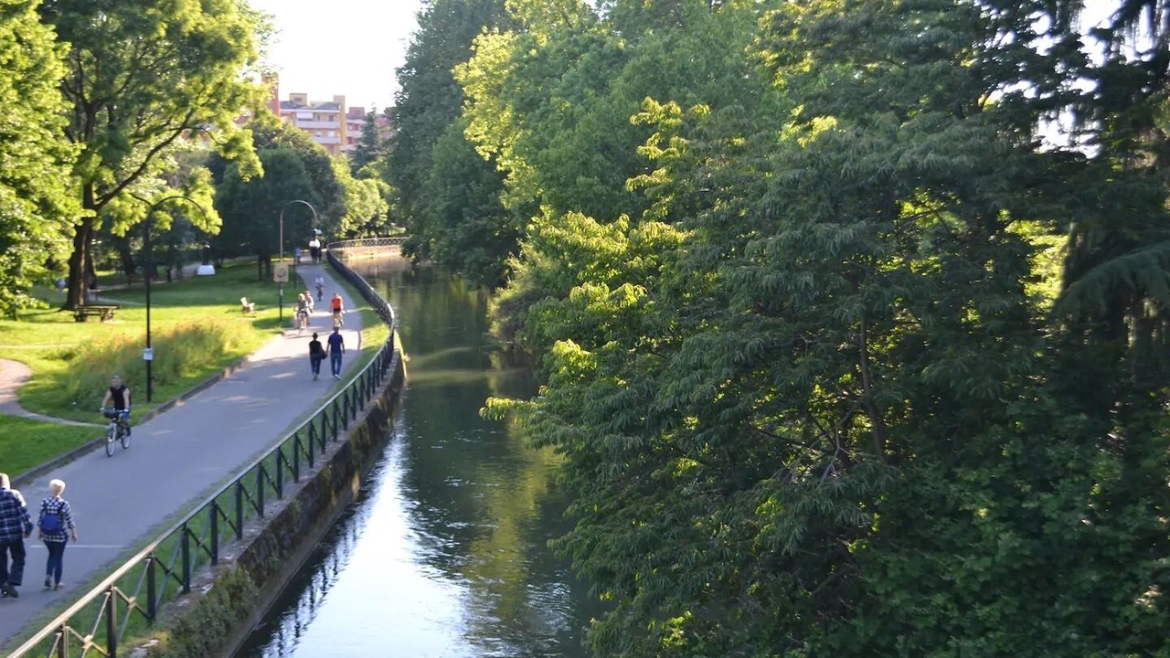 Photo of Others in Cernusco sul Naviglio