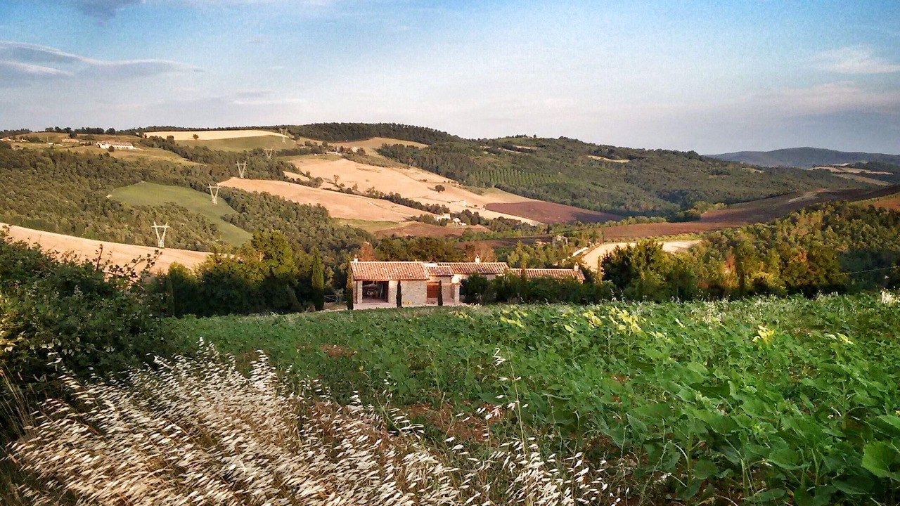 Photo of Others in San Venanzo