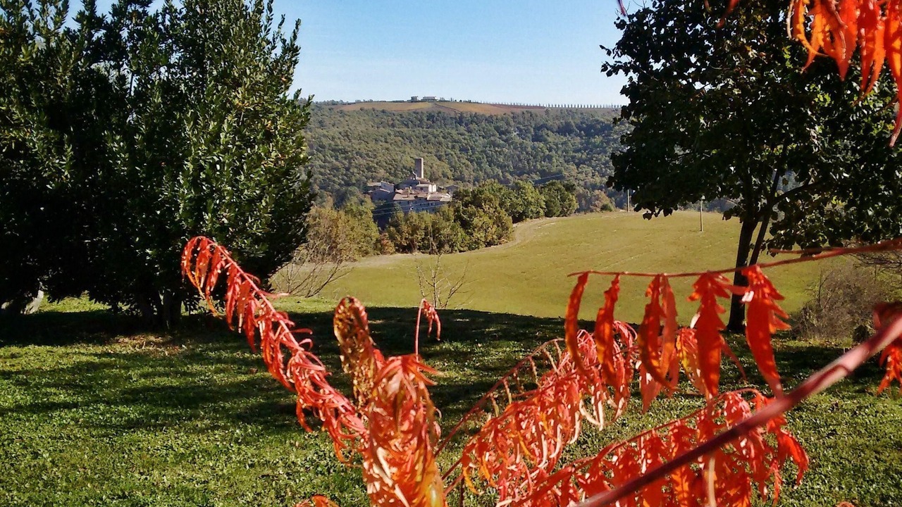 Photo of Outdoor in San Venanzo