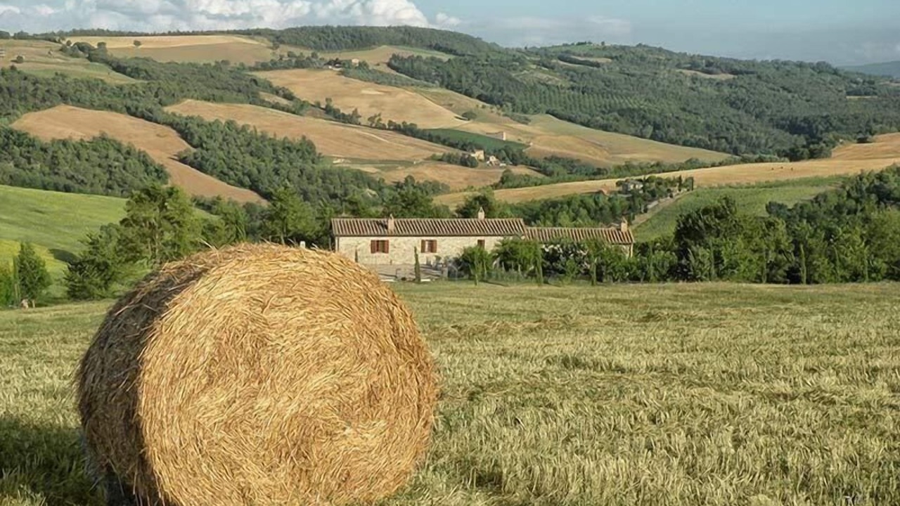 Photo of Others in San Venanzo