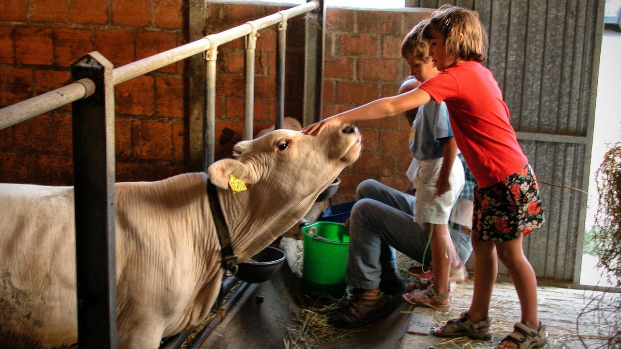Photo of Others in San Venanzo