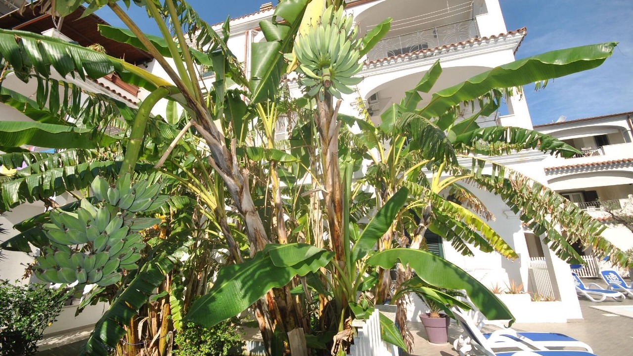 Photo of Outdoor in Orosei
