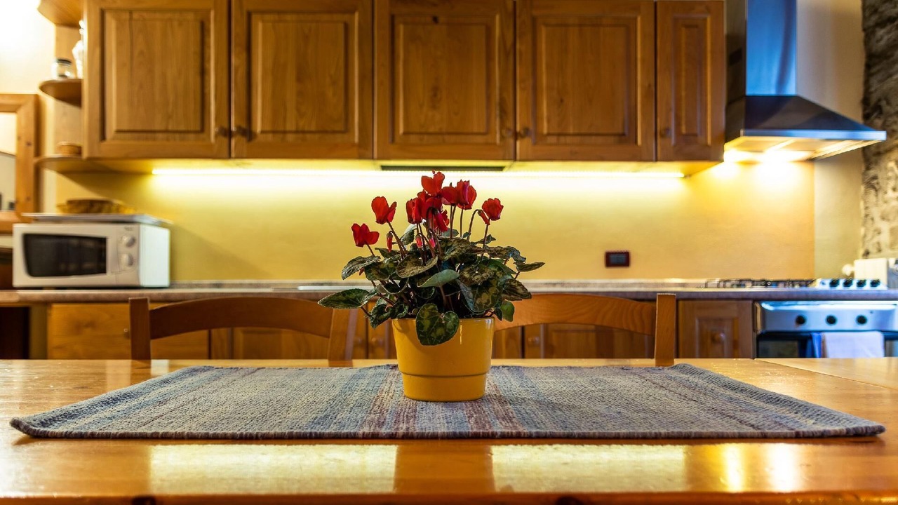 Photo of Kitchen in Zorzino