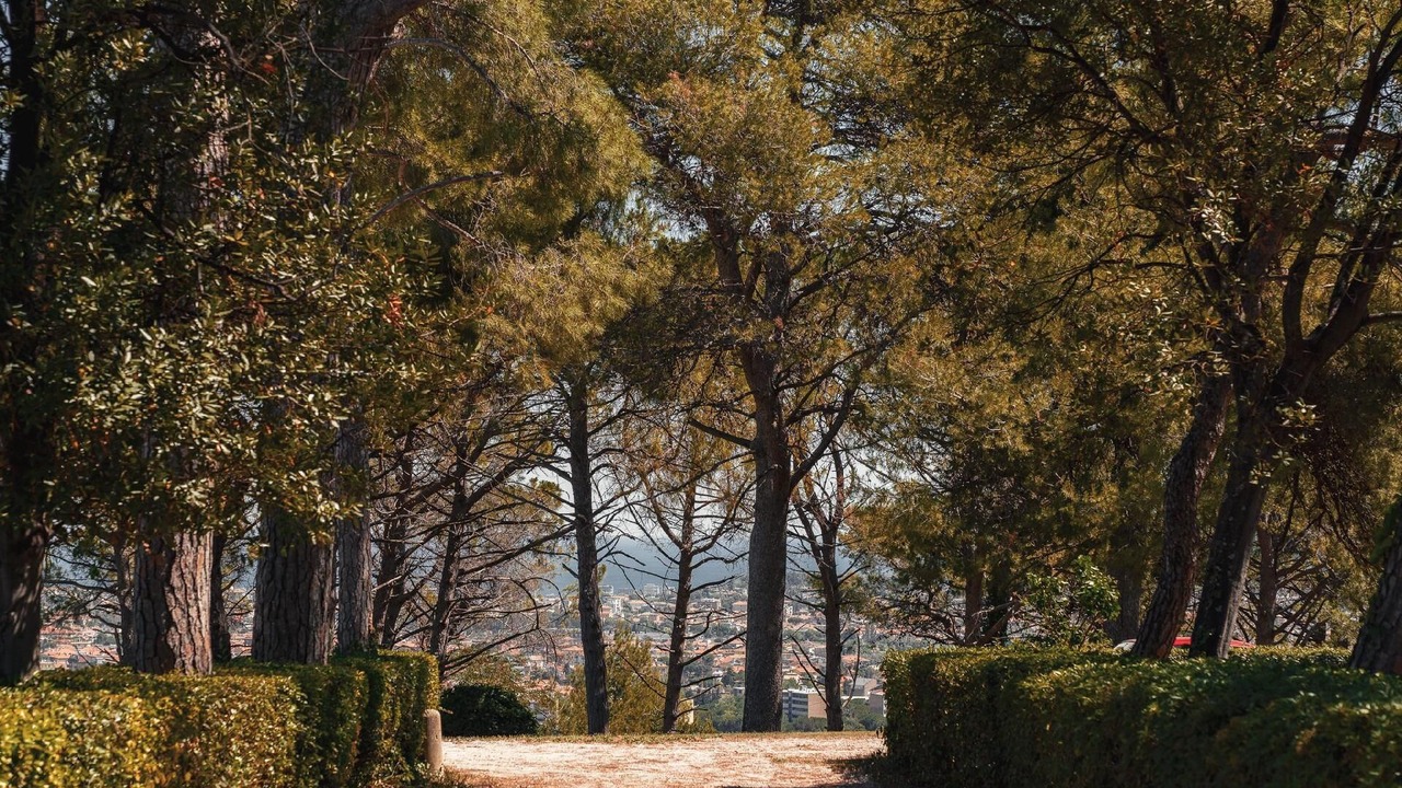 Photo of Others in Santa Veneranda