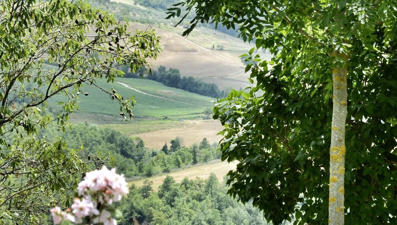 Photo of Outdoor in San Venanzo