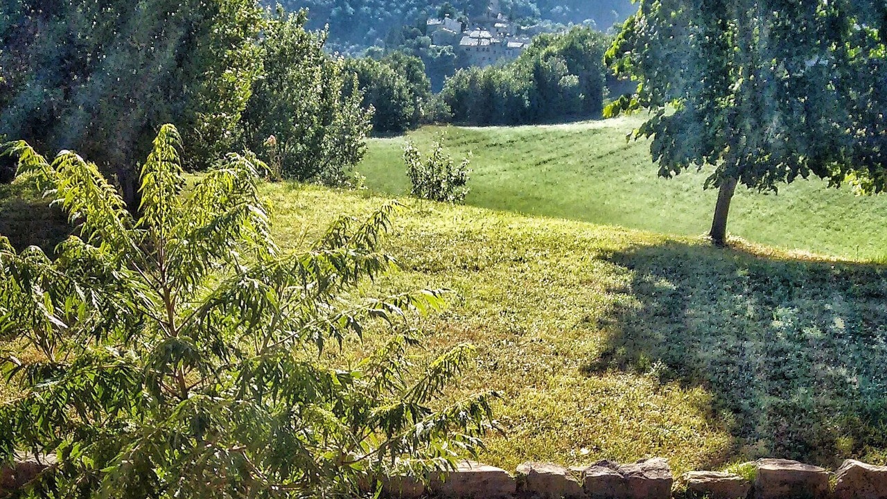 Photo of Outdoor in San Venanzo