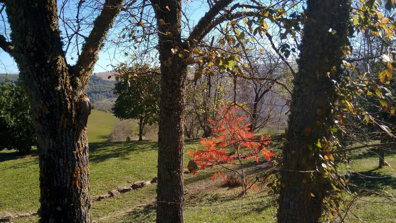 Photo of Outdoor in San Venanzo
