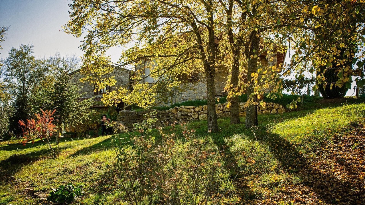 Photo of Outdoor in San Venanzo