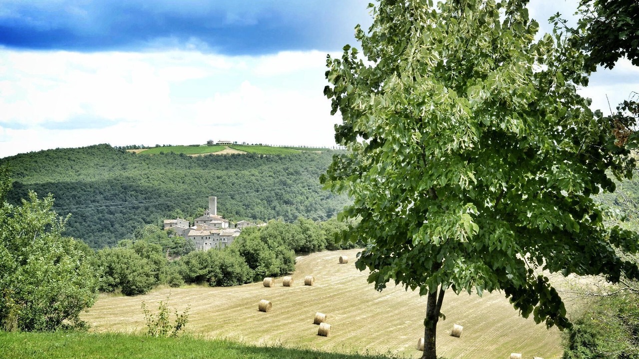 Photo of Others in San Venanzo