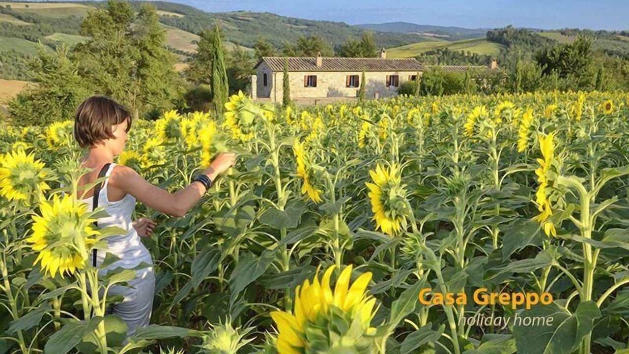 Photo of Outdoor in San Venanzo
