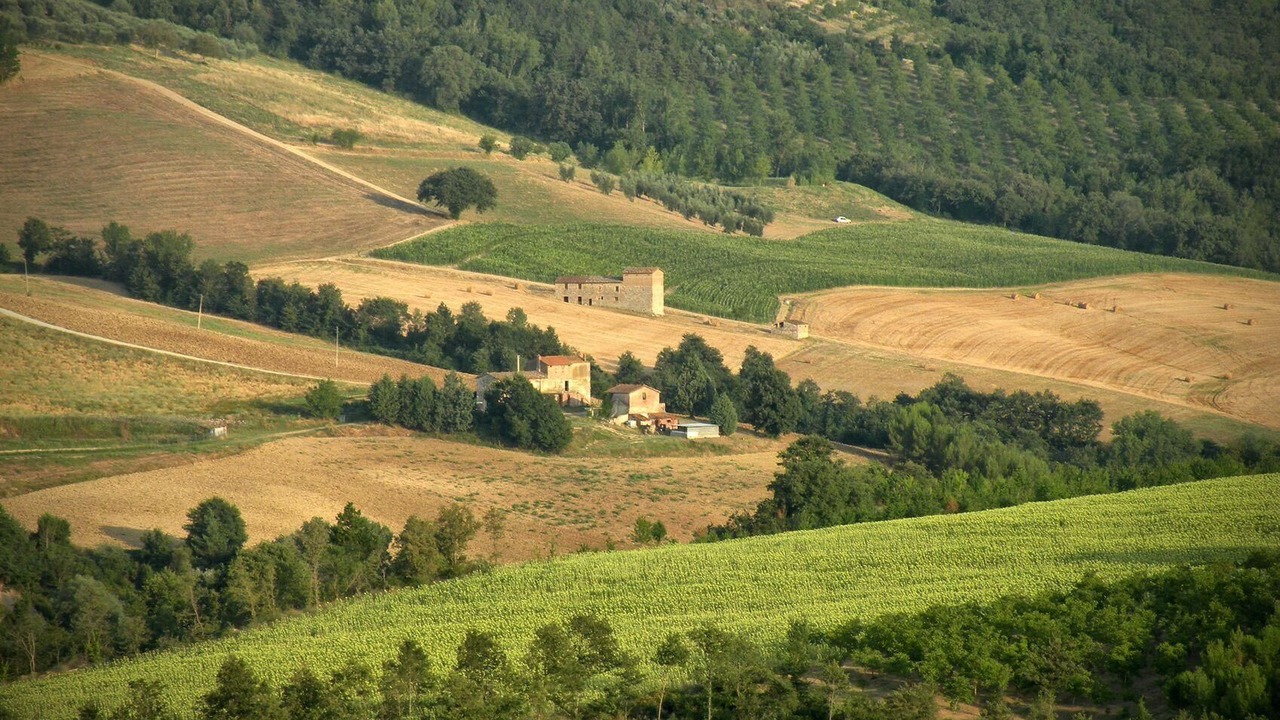 Photo of Others in San Venanzo