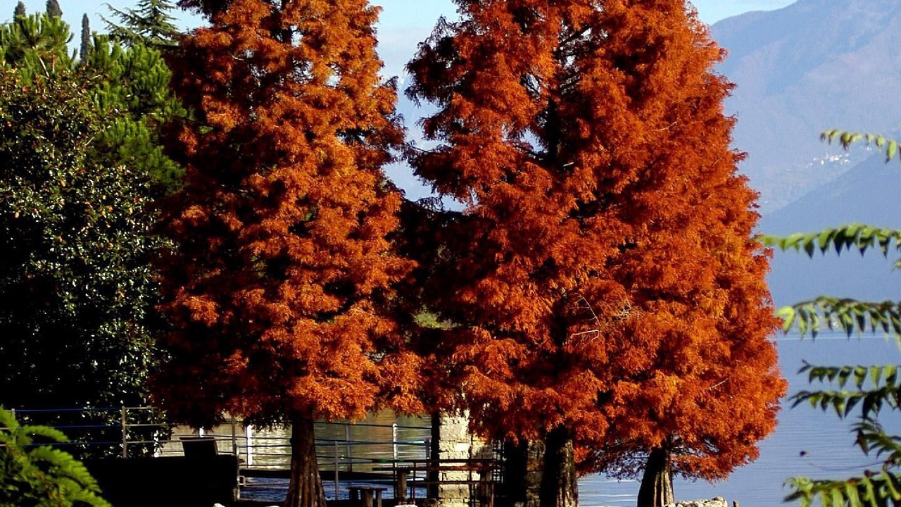 Photo of Outdoor in Zorzino