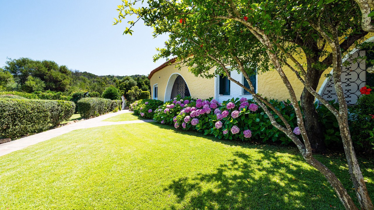 Photo of Outdoor in Cala Bitta