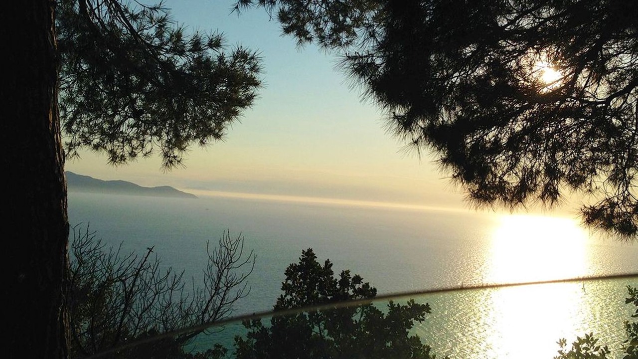 Photo of Others in Cala Piccola