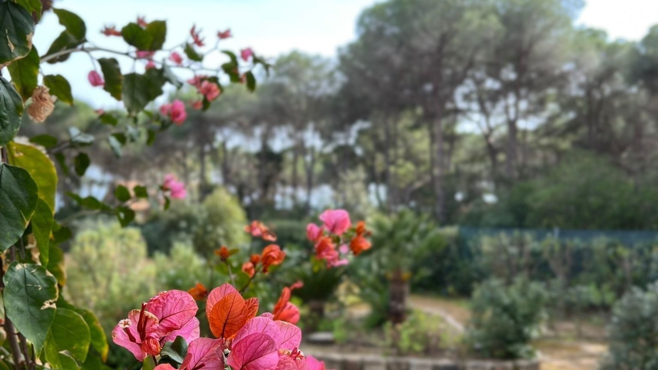 Photo of Outdoor in Santa Margherita di Pula