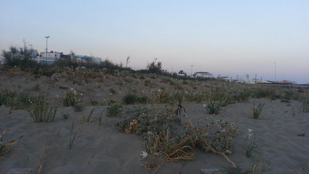 Photo of Others in Torre Mozza