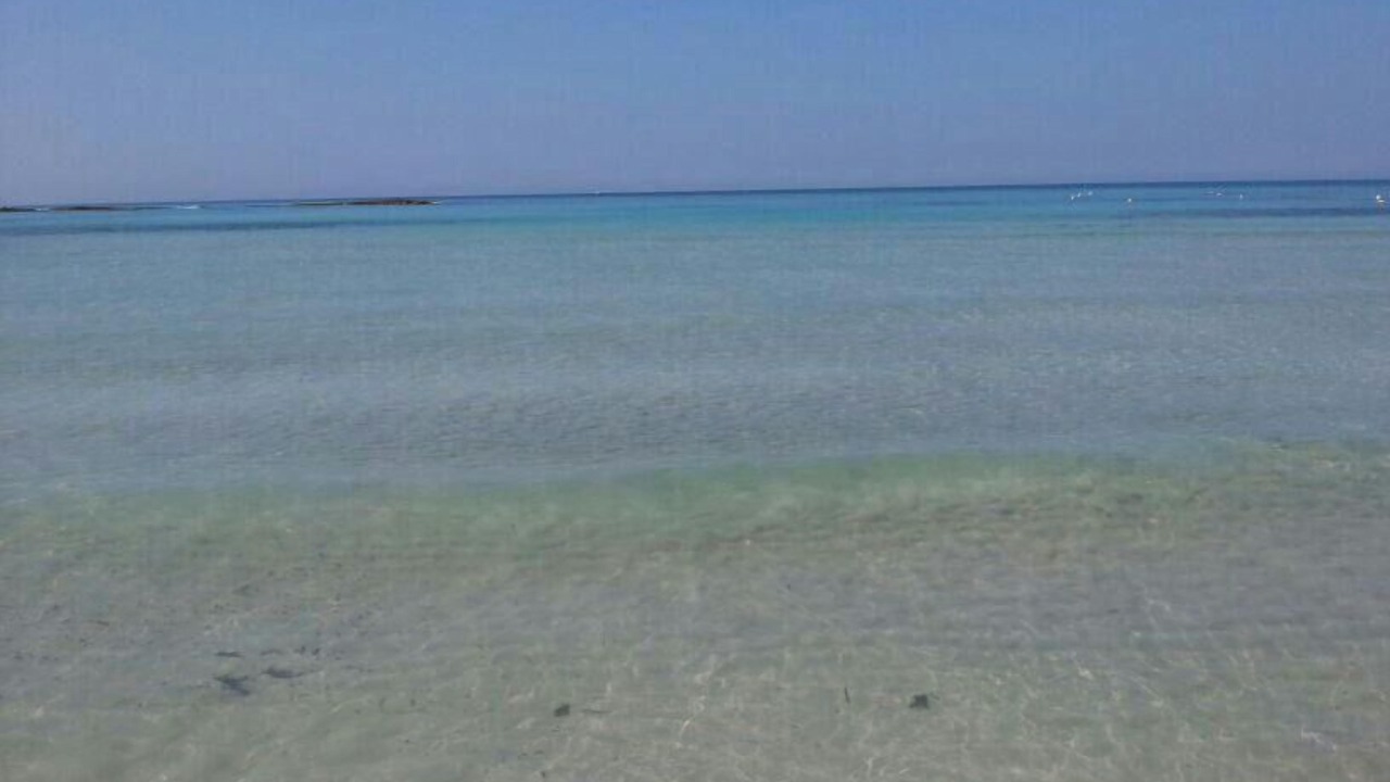 Photo of Others in Torre Mozza