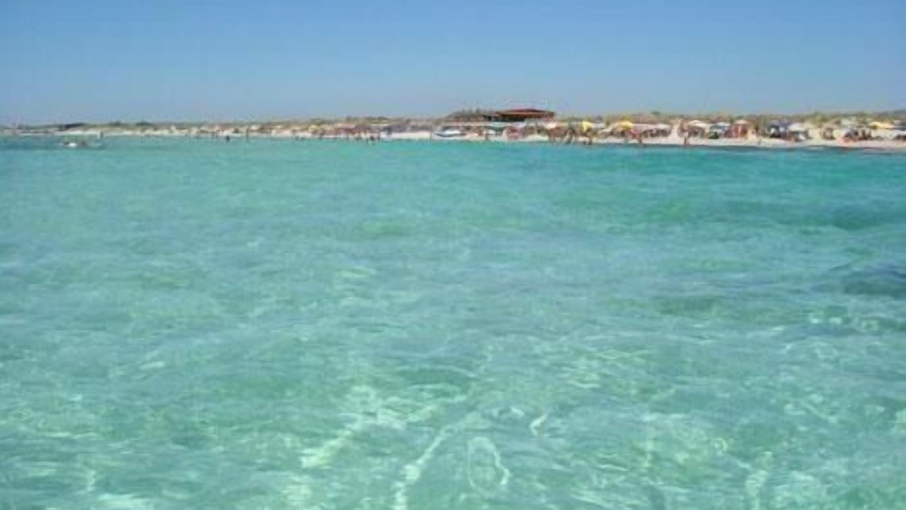 Photo of Others in Torre Mozza