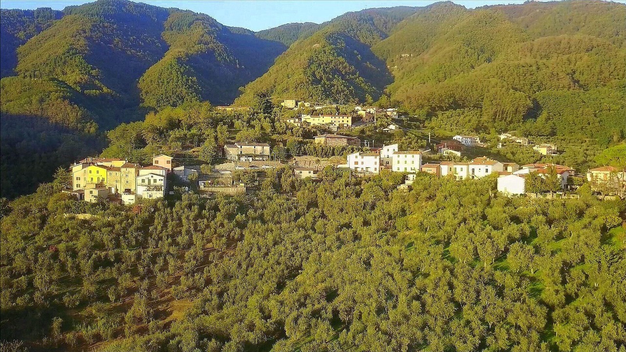 Photo of Others in Nozanno