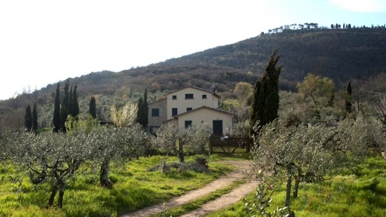 Photo of Others in Cortona