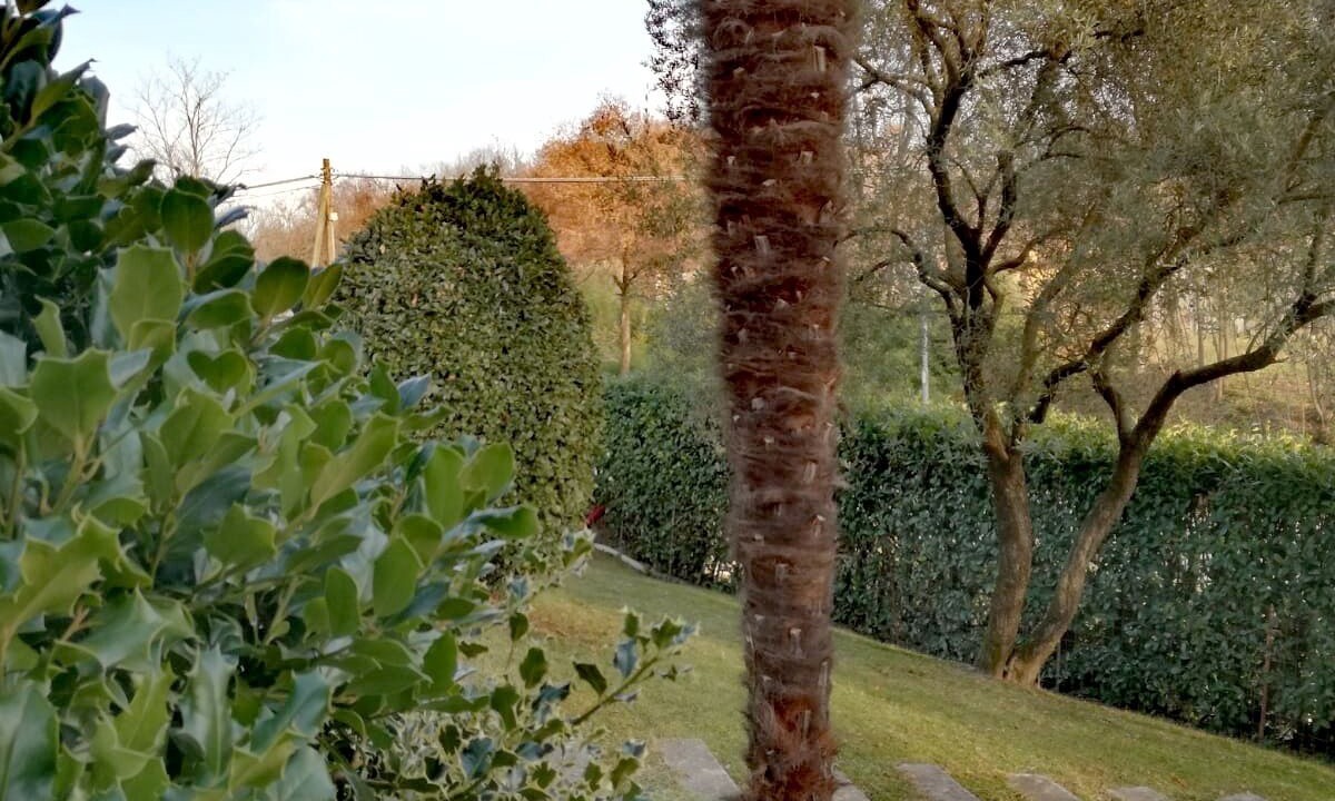 Photo of Outdoor in San Zenone degli Ezzelini