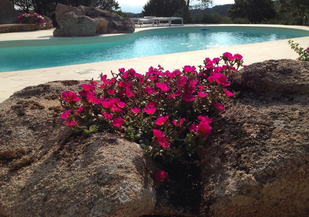 Photo of Outdoor in Arzachena