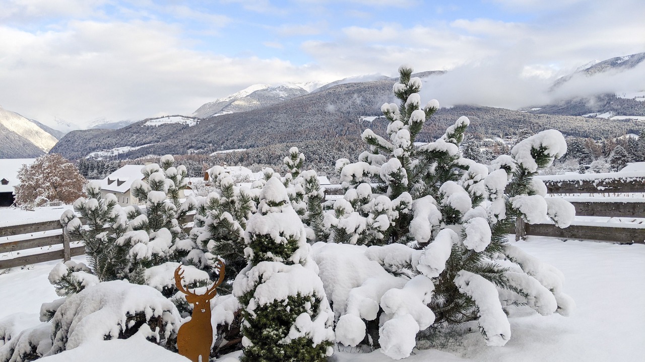 Photo of Outdoor in Riscone