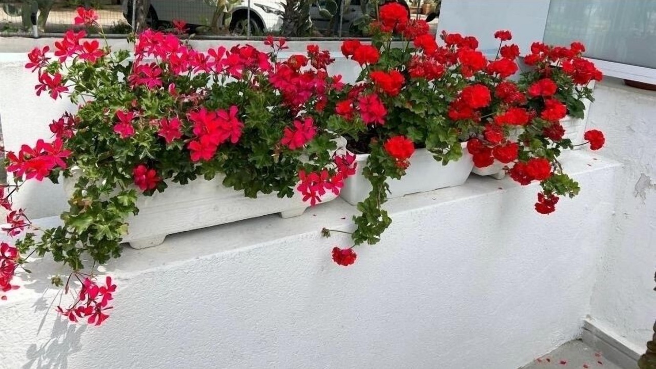 Photo of Outdoor in Barletta